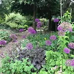 펜션 Phlomis *
