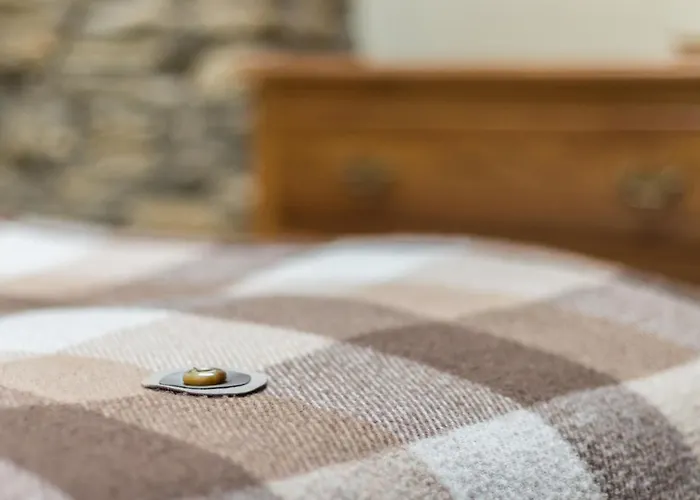 別荘 Phlomis ヨーク