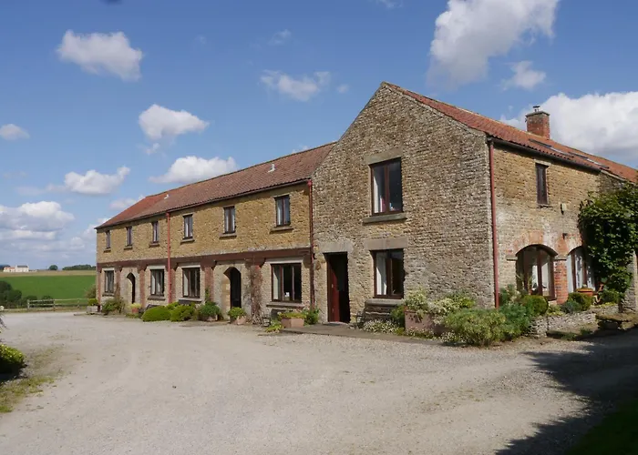 Phlomis بيت للعطل